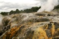 Rotorua New Zealand Royalty Free Stock Photo