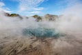 Rotorua thermal zone