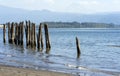 The rotted pillars of the old Columbia marina