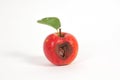 Rotten apple Royalty Free Stock Photo