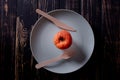 Rotten apple as a concept of corruption. Concept of bad people in society. Rotten politicians. Royalty Free Stock Photo