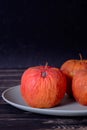 Rotten apple as a concept of corruption. Concept of bad people in society. Rotten politicians. Royalty Free Stock Photo