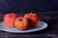 Rotten apple as a concept of corruption. Concept of bad people in society. Rotten politicians. Royalty Free Stock Photo