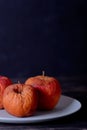 Rotten apple as a concept of corruption. Concept of bad people in society. Rotten politicians. Royalty Free Stock Photo