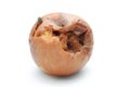 Rotten apple with fly Royalty Free Stock Photo