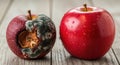 Rotten apple beside fresh one showing difference Royalty Free Stock Photo