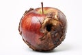 Rotten apple fruit on white background