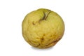 Rotten apple Royalty Free Stock Photo