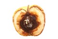 Rotten apple halves isolated. Food waste.