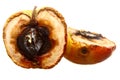 Rotten apple halves isolated. Food waste.