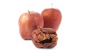 Rotten apple,isolated background Royalty Free Stock Photo