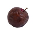 Rotten apple isolated on a white background. Concept: spoiled foods, fruit storage, toxins and poisons, fruit tree disease