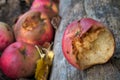 Rotten apple lies on the wood Royalty Free Stock Photo