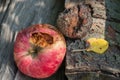Rotten apple lies on the wood Royalty Free Stock Photo