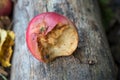 Rotten apple lies on the wood Royalty Free Stock Photo