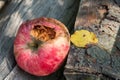 Rotten apple lies on the wood Royalty Free Stock Photo