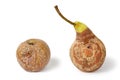 Rotten apple and pear on a white background. Royalty Free Stock Photo