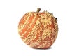 Rotten Apple On White Background Royalty Free Stock Photo