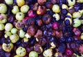 Rotten apples as discarded garbage lie on the ground. Bad apple and putrid fruits vegetable. Food Rubbish autumn harvest. Royalty Free Stock Photo