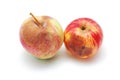 Rotten apples Royalty Free Stock Photo