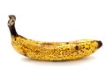 Rotten banana