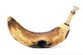 Rotten banana Royalty Free Stock Photo