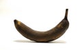 A rotten banana. A black old banana on a white background.