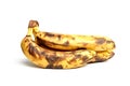 Rotten banana branches. white background. isolate