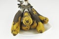 Rotten banana with fungus