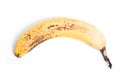 Rotten banana Royalty Free Stock Photo