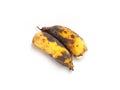 Rotten bananas or overripe bananas unhealthy isolated on white background. Fungus and black spot on banana peel Royalty Free Stock Photo