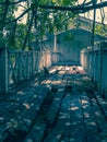 The rotten bridge to an abandoned house, scary atmosphere with cat. Royalty Free Stock Photo
