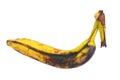 Rotten brown overripe banana isolated