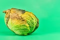 Rotten cabbage, green background