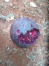 Close up of a rotten cannonball on the ground