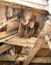 rotten ceiling with the wooden beams of an ancient mine s