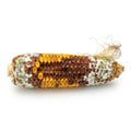 Rotten corn cob with missing kernels on solid white background Royalty Free Stock Photo