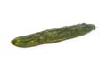 Rotten cucumber isolated Royalty Free Stock Photo