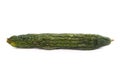 Rotten cucumber isolated Royalty Free Stock Photo