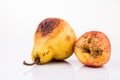 Rotten and decomposing red apple and pear on white background Royalty Free Stock Photo