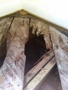 Rotten floor boards