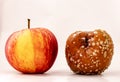 A rotten and a fresh apple next to each other isolated on white background. Royalty Free Stock Photo