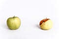 Rotten and fresh apple on white background