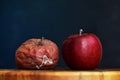 A Rotten and a Fresh Red Apple Next to Each Other. Good vs Bad. Antithesis Concept. Side View. Dark Background Royalty Free Stock Photo