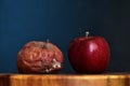 A Rotten and a Fresh Red Apple Next to Each Other. Good vs Bad. Antithesis Concept. Side View. Dark Blue Background Royalty Free Stock Photo