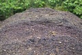 Rotten Fruit on ground Royalty Free Stock Photo