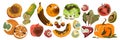 Rotten fruit and vegetables set, ugly waste collection with different old damaged food