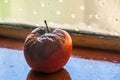 Rotten fruit  on a window sill Royalty Free Stock Photo