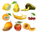 Rotten Fruits with Stinky Rot Covered the Skin Vector Set