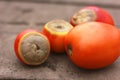 Rotten group of tomato on old wood background, selective and soft focus, disease tomato late blight Royalty Free Stock Photo
